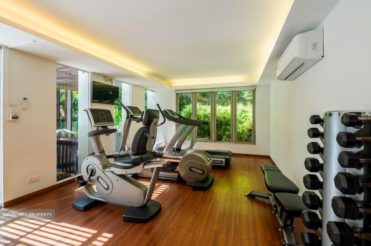 Nassim Regency (D10), Condominium #571613821